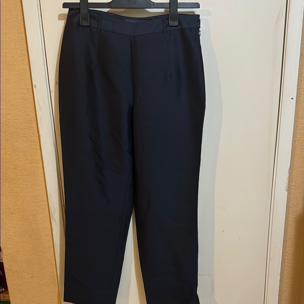 Banana Republic 100 % Silk Size 10 Navy Blue Pants!!
